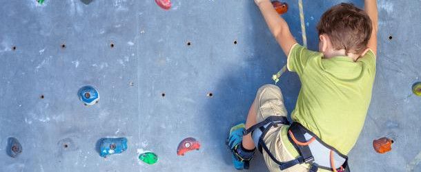 COMBO - Muro de escalada infantil básico - Revolution Climbing - todo para  tu muro de escalada